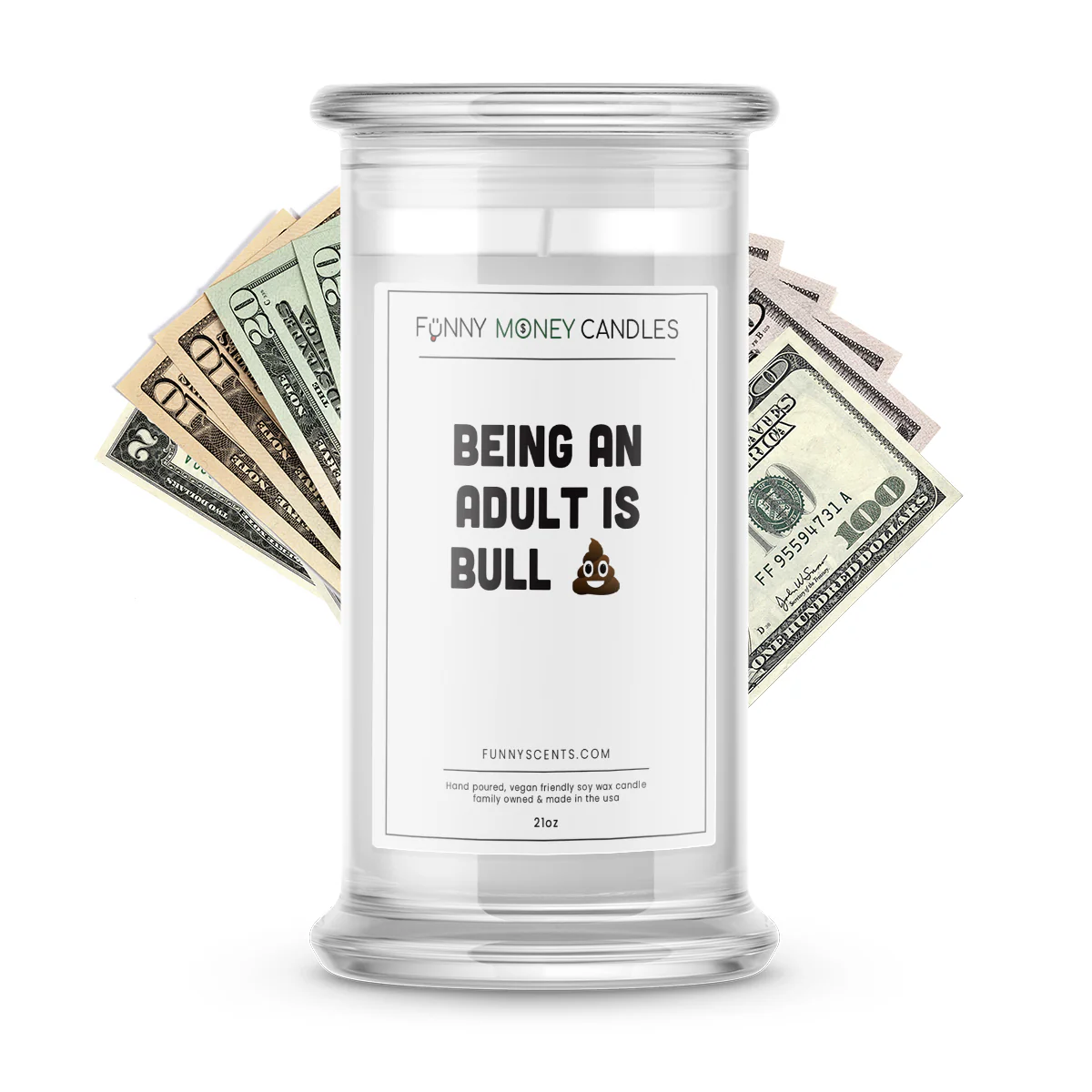 Being an Adult is Bullshit Money Funny Candles