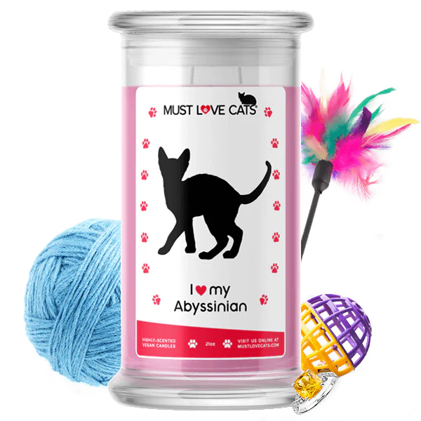 I Love My Abyssinian Must Love Cats Candle