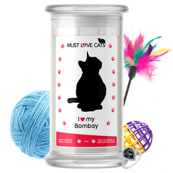 I Love My Bombay Must Love Cats Candle