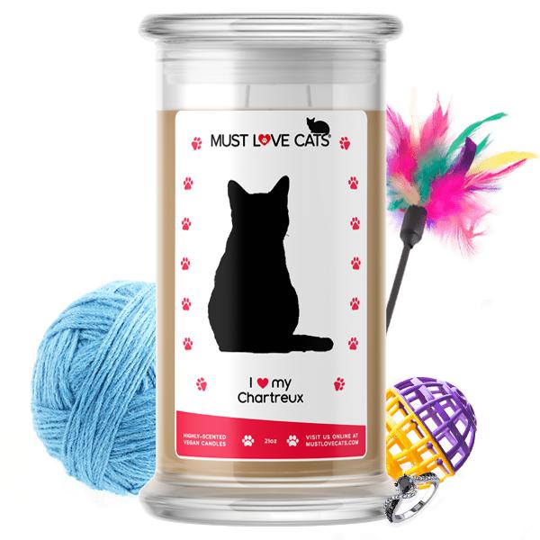 I Love My Chartreux Must Love Cats Candle