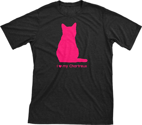 I Love My Chartreux Must Love Cats Hot Pink On Black Short Sleeve T-Shirt
