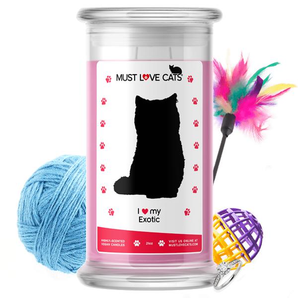 I Love My Exotic Must Love Cats Candle