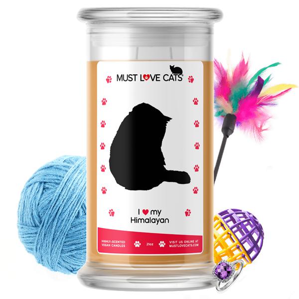 I Love My Himalayan Must Love Cats Candle