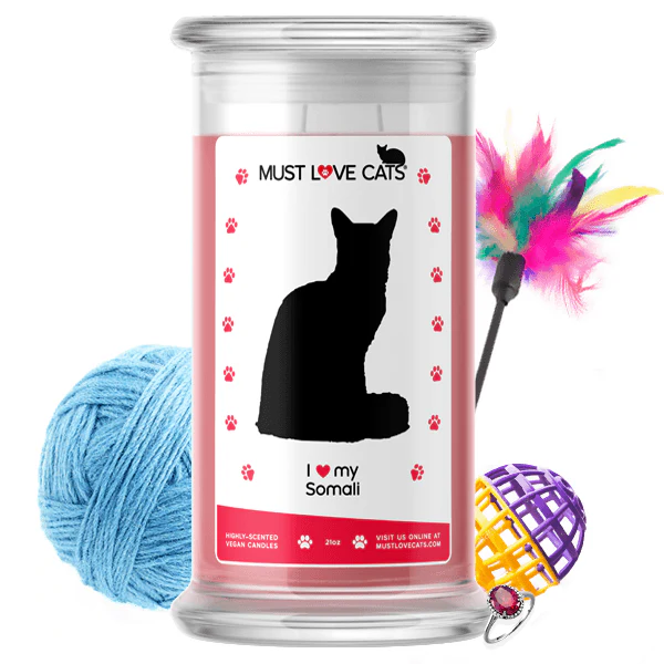 I Love My Somali Must Love Cats Candle