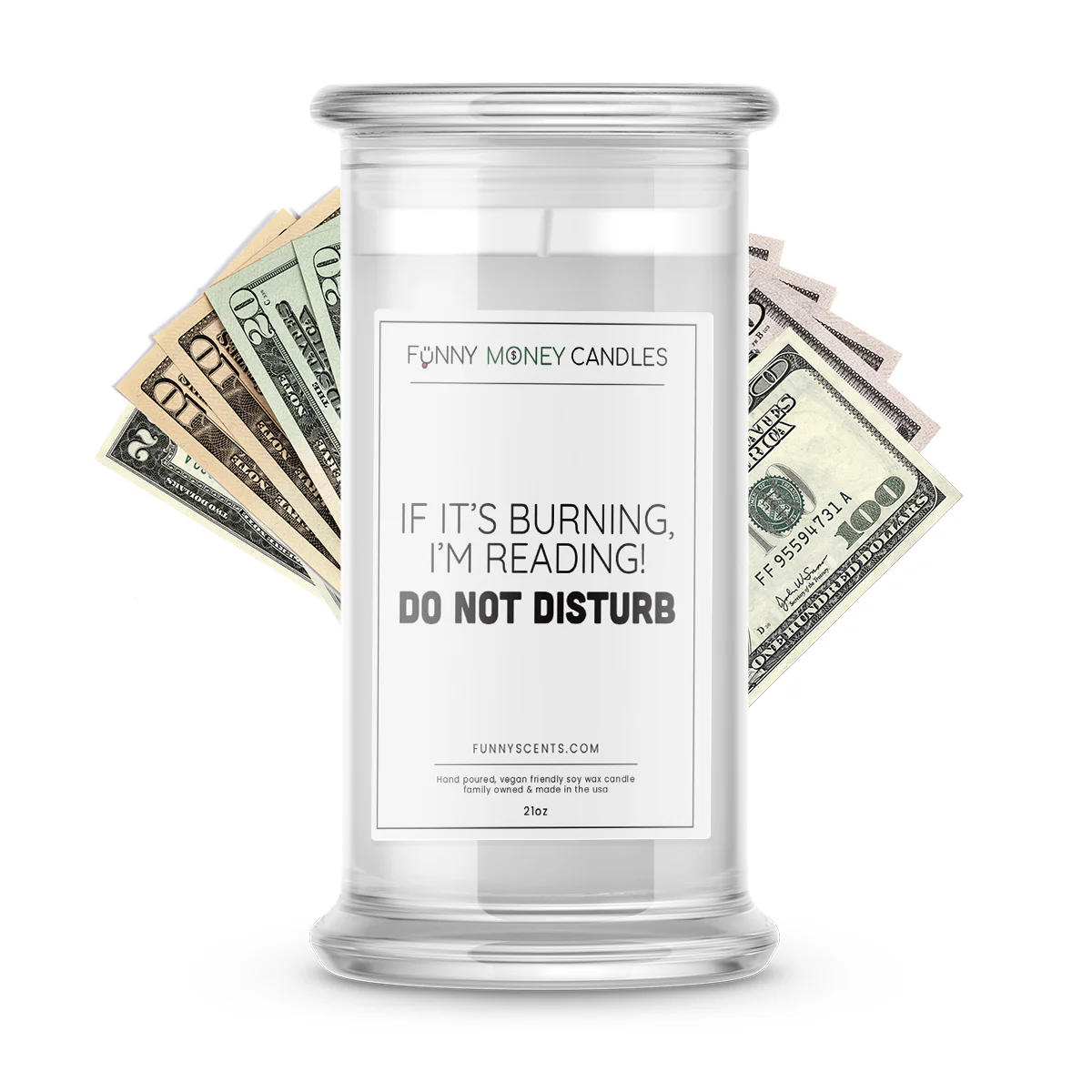 If It's Burning, I'm Reading! Do not Disturb Money Funny Candles